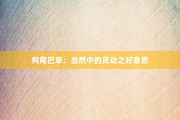 狗尾巴草：当然中的灵动之好意思
