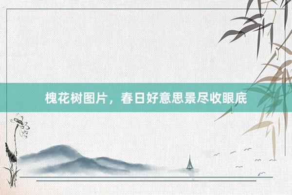 槐花树图片，春日好意思景尽收眼底