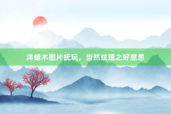 洋蜡木图片抚玩，当然纹理之好意思