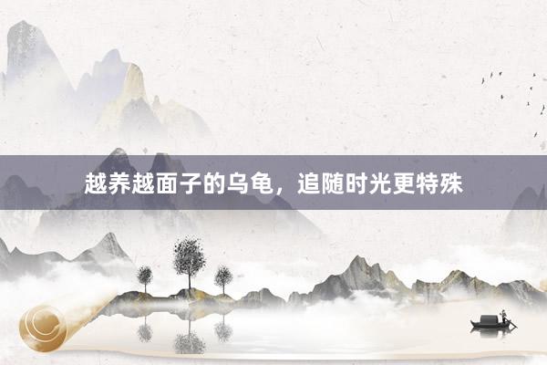 越养越面子的乌龟，追随时光更特殊